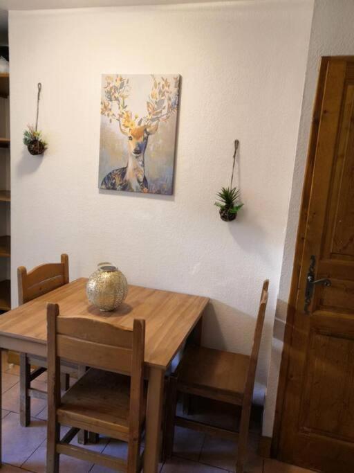 Tres Joli T2 Aux Pieds Des Pistes Avec Balcon Apartamento *