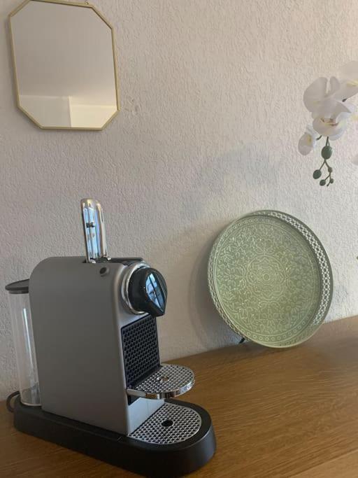Tres Joli T2 Aux Pieds Des Pistes Avec Balcon Appartement *