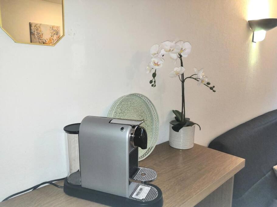 Appartement Tres Joli T2 Aux Pieds Des Pistes Avec Balcon *